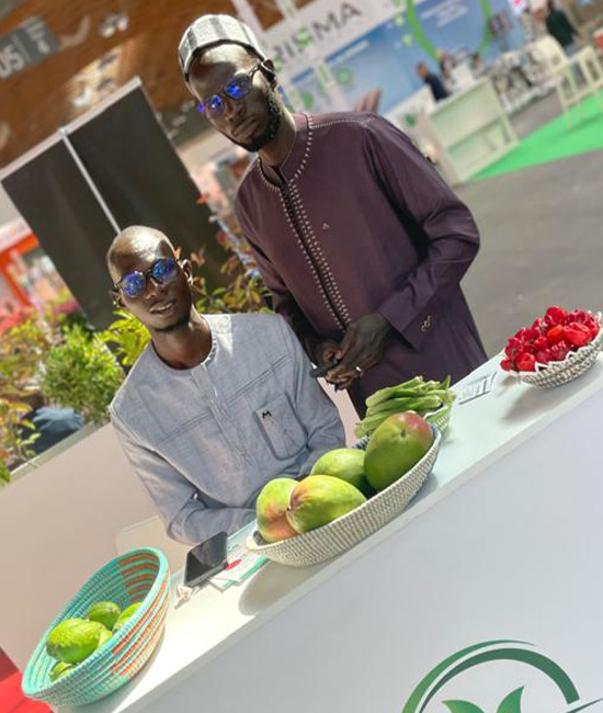 Responsable export Ndoulo Agro